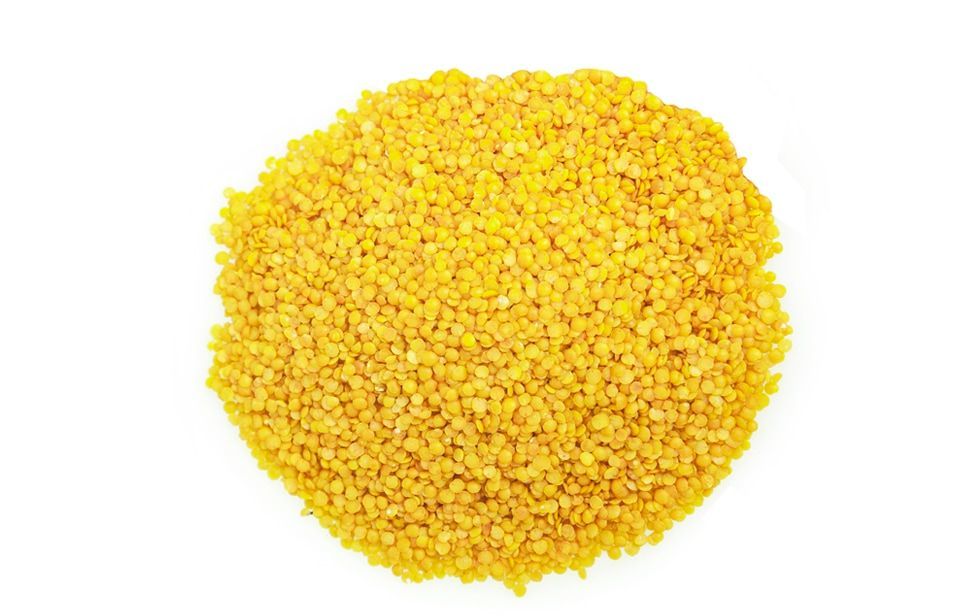 <p><span style="font-weight: bold; font-style: italic;">YELLOW LENTILS</span><br></p>