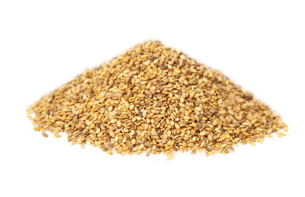 <p><span style="font-weight: bold; font-style: italic;">SESAME SEEDS</span><br></p>