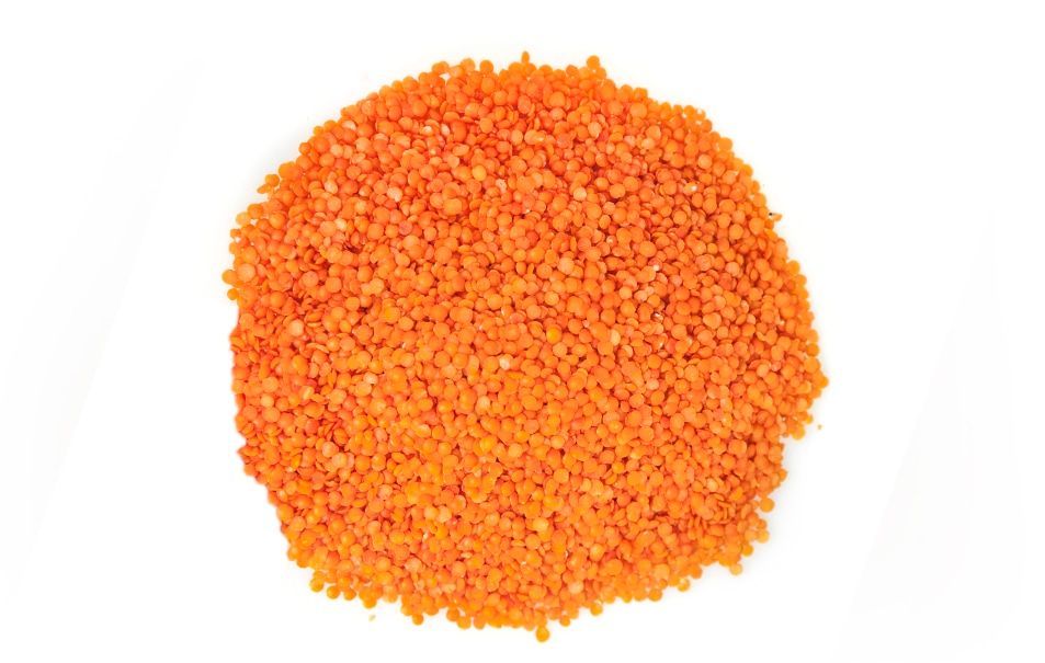 <p><span style="font-weight: bold; font-style: italic;">RED LENTILS</span><br></p>